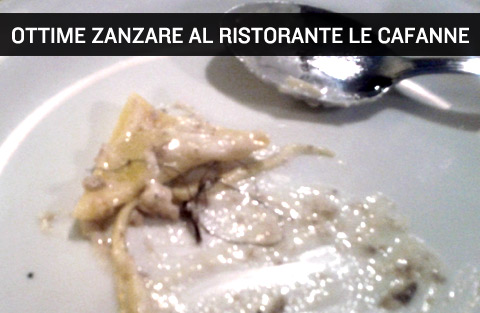 Zanzare nel piatto al ristorante Le Cafanne, Serra Sant'Abbondio.